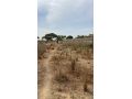 terrain-300-metres-carres-a-malicounda-small-1
