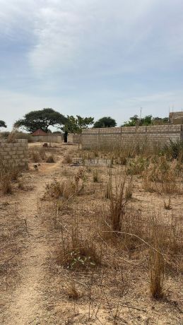 terrain-300-metres-carres-a-malicounda-big-1