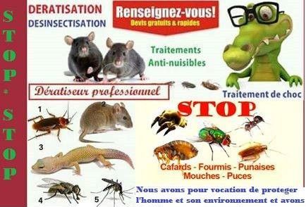 desinsectisation-deratisation-fumigation-dereptilisation-big-0