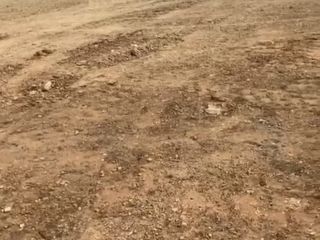 terrain-a-vendre-diamniadio