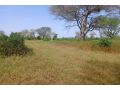 terrain-de-4-hectares-vers-thienaba-small-1