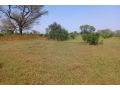 terrain-de-4-hectares-vers-thienaba-small-3