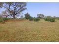 terrain-de-4-hectares-vers-thienaba-small-2