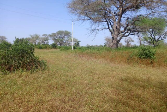 terrain-de-4-hectares-vers-thienaba-big-1