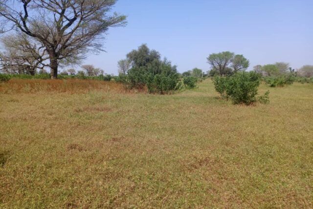 terrain-de-4-hectares-vers-thienaba-big-3