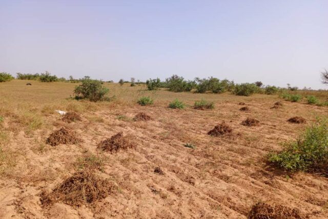 terrain-de-288-hectares-vers-khombole-big-3