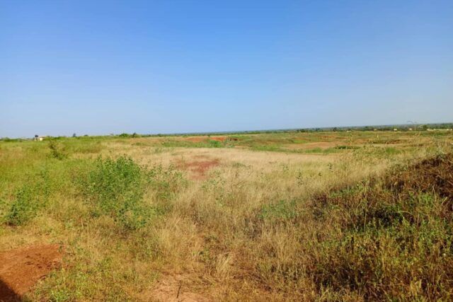 terrain-de-8779-m2-vers-notto-diobass-big-0