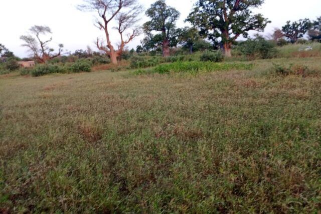 terrain-de-8200-m2-vers-tassette-big-2