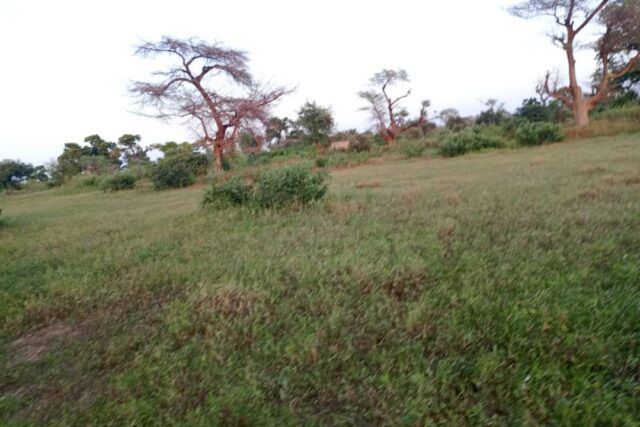 terrain-de-8200-m2-vers-tassette-big-0