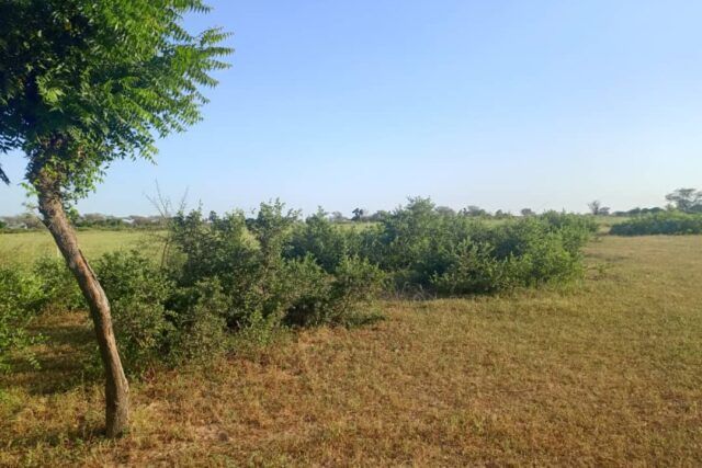 terrain-de-10-hectares-vers-tassette-big-2