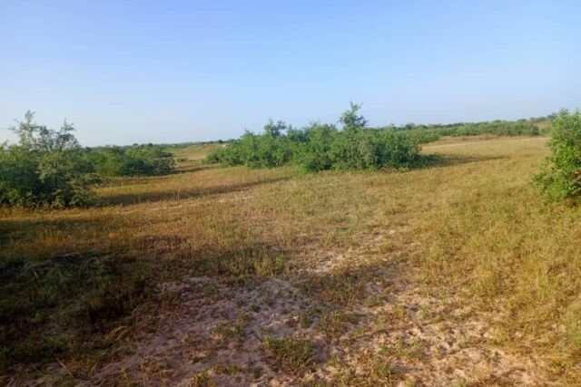 terrain-de-10-hectares-vers-tassette-big-1