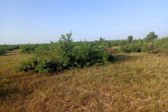 terrain-de-10-hectares-vers-tassette-big-3