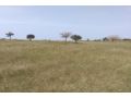 terrain-de-250-hectares-vers-thieppe-small-2