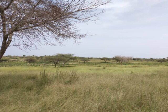 terrain-de-250-hectares-vers-thieppe-big-1