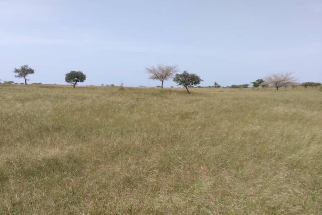 terrain-de-250-hectares-vers-thieppe-big-2