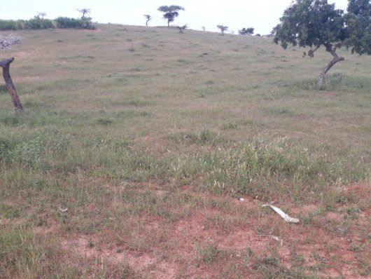 terrain-de-2-hectares-vers-lompoul-big-0