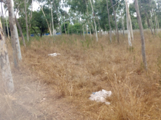 terrain-premiere-position-a-saly-portudal