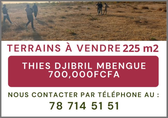 vente-de-terrain-big-0