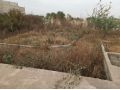 terrain-de-300m2-avec-fondation-a-yene-small-4