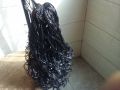 la-beaute-africaine-small-1