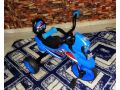velo-tricycle-small-0