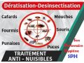 desinsectisation-et-deratisation-des-locaux-small-1