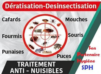 desinsectisation-et-deratisation-des-locaux-big-1