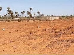 lots-de-plus-2000-terrains-a-vendre-a-tougouni-180m2-a-200m2-prix-tres-abordable-si-vous-achetez-plus-de-10-terrains-il-yaura-reduction-big-1