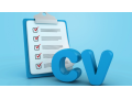 cv-professionnel-small-0