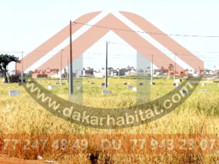 terrains-a-diakhirate-devenez-proprietaire-des-aujourdhui