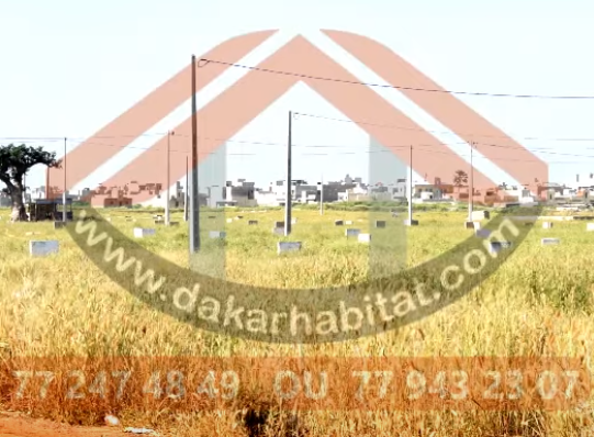 terrains-a-diakhirate-devenez-proprietaire-des-aujourdhui-big-0