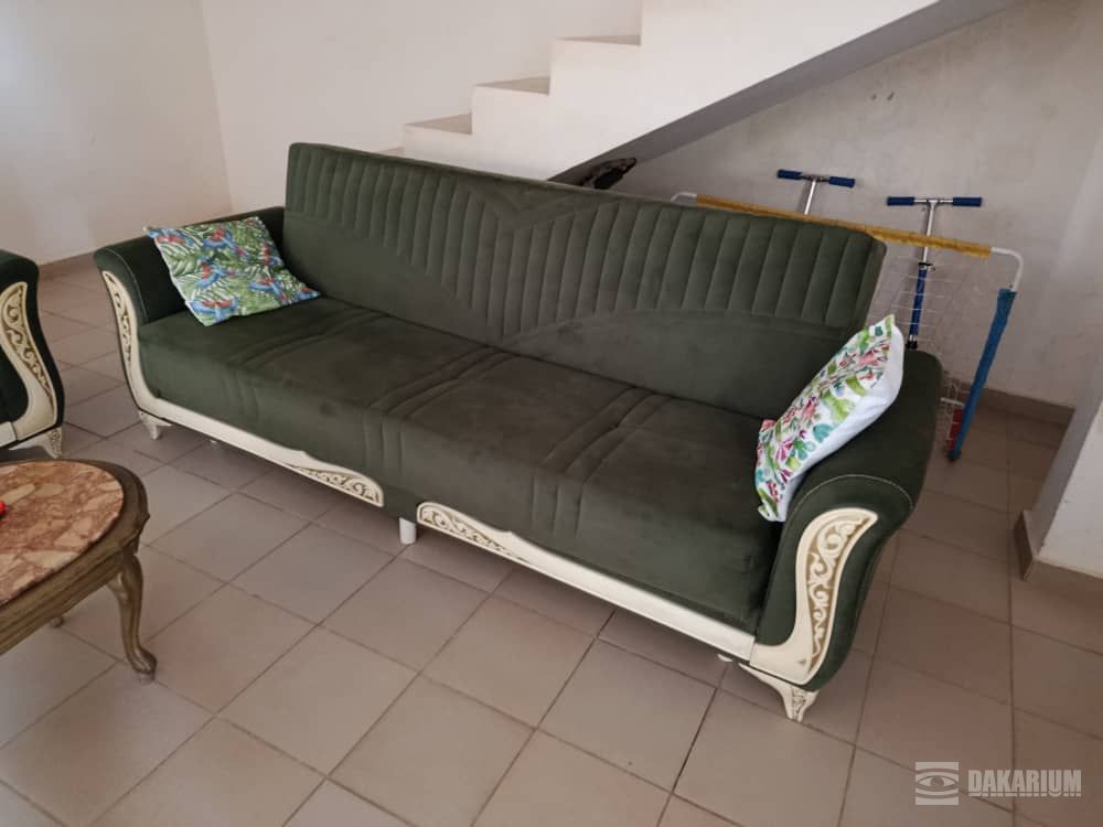 a-vendre-salon-8places