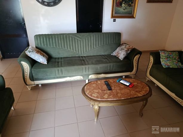 a-vendre-salon-8places-big-1