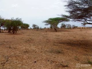 terrain-agricole-de-10-hectares-vers-thieppe-kebemer