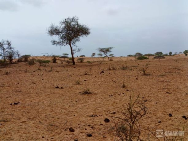 terrain-agricole-de-10-hectares-vers-thieppe-kebemer-big-1