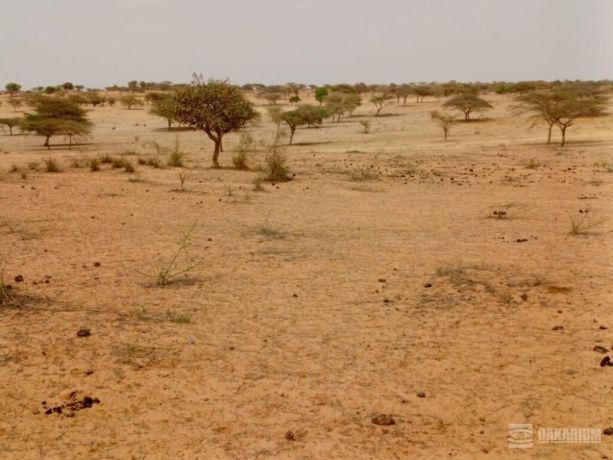 terrain-agricole-de-10-hectares-vers-thieppe-kebemer-big-2