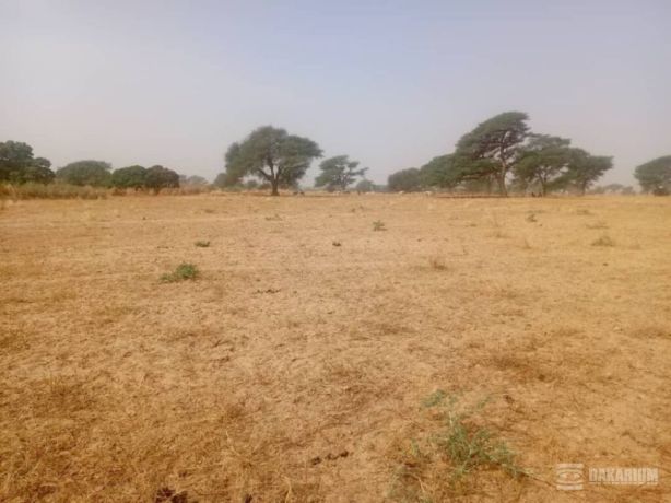 terrain-agricole-de-140-hectare-vers-notto-diobass-thies-big-0