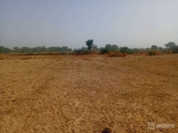 terrain-agricole-de-140-hectare-vers-notto-diobass-thies-big-2