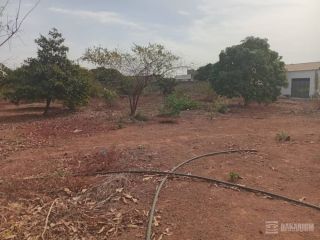 verger-de-140-hectare-vers-fandene-thies