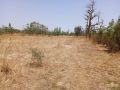 location-terrain-agricole-de-7000-m2-vers-notto-diobass-thies-small-2