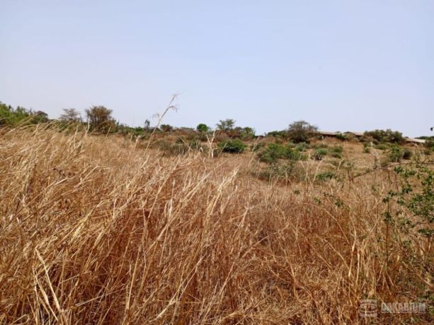 location-terrain-agricole-de-7000-m2-vers-notto-diobass-thies-big-0