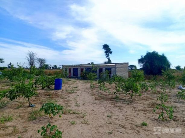 verger-de-355-hectares-vers-tassette-thies-big-4