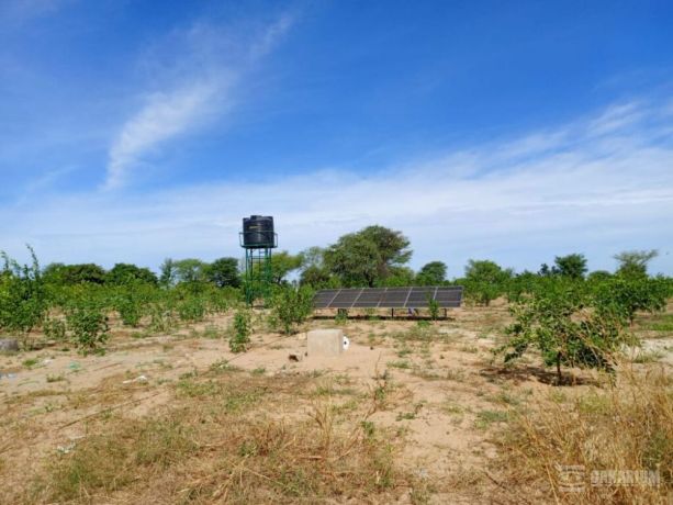 verger-de-355-hectares-vers-tassette-thies-big-2