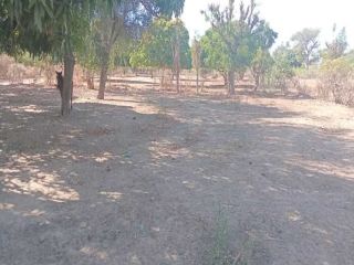 terrain-agricole-de-7500-m2-vers-notto-diobass-thies