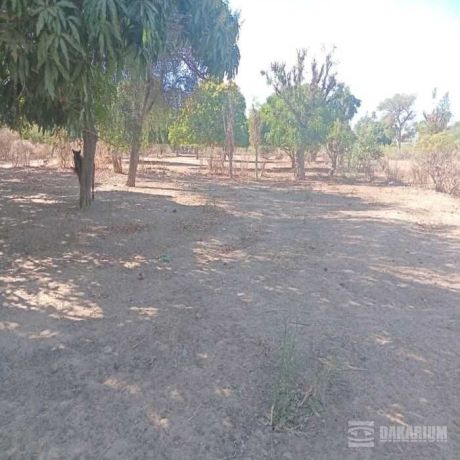 terrain-agricole-de-7500-m2-vers-notto-diobass-thies-big-0