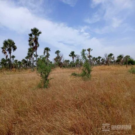 terrain-agricole-de-102-hectare-vers-fadene-thies-big-1