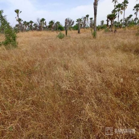 terrain-agricole-de-102-hectare-vers-fadene-thies-big-3