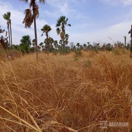 terrain-agricole-de-102-hectare-vers-fadene-thies-big-2