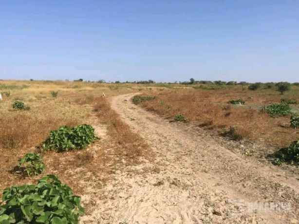 vente-de-terrains-a-usage-agricole-dans-la-commune-de-ndiabene-gandiole-big-0