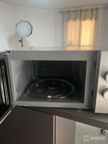 micro-onde-big-0